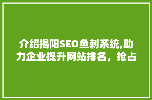 介绍揭阳SEO鱼刺系统,助力企业提升网站排名，抢占市场先机