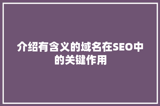 介绍有含义的域名在SEO中的关键作用