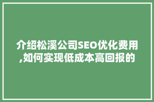 介绍松溪公司SEO优化费用,如何实现低成本高回报的搜索引擎营销