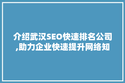 介绍武汉SEO快速排名公司,助力企业快速提升网络知名度