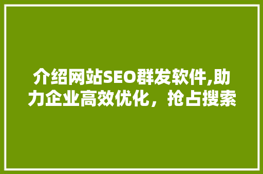 介绍网站SEO群发软件,助力企业高效优化，抢占搜索引擎排名