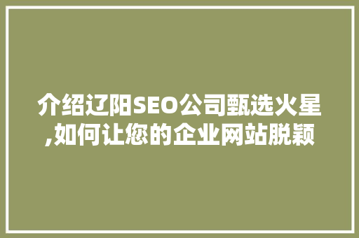 介绍辽阳SEO公司甄选火星,如何让您的企业网站脱颖而出