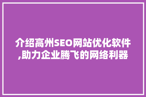 介绍高州SEO网站优化软件,助力企业腾飞的网络利器
