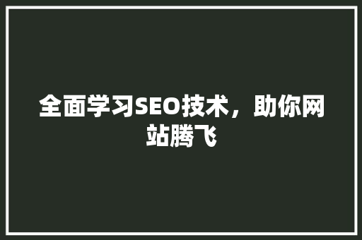 全面学习SEO技术，助你网站腾飞