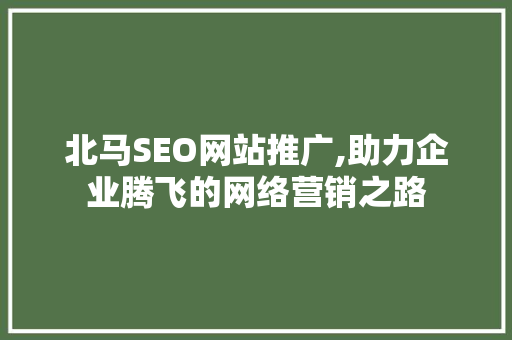 北马SEO网站推广,助力企业腾飞的网络营销之路  第1张