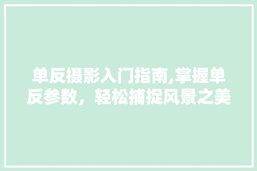 单反摄影入门指南,掌握单反参数，轻松捕捉风景之美