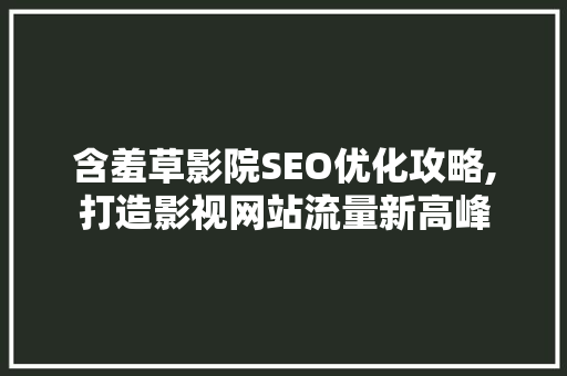含羞草影院SEO优化攻略,打造影视网站流量新高峰