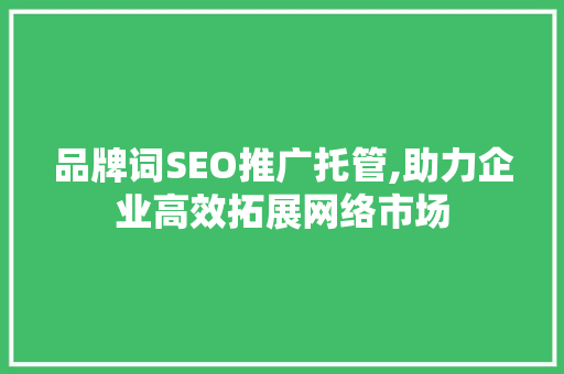 品牌词SEO推广托管,助力企业高效拓展网络市场  第1张