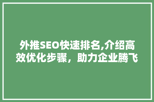 外推SEO快速排名,介绍高效优化步骤，助力企业腾飞
