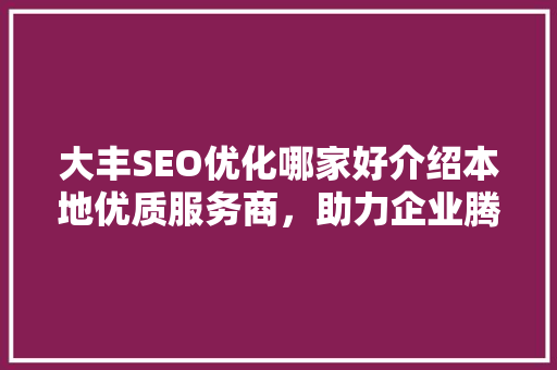大丰SEO优化哪家好介绍本地优质服务商，助力企业腾飞！