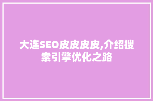 大连SEO皮皮皮皮,介绍搜索引擎优化之路