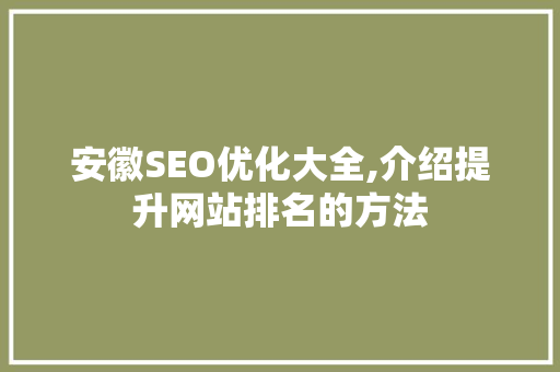 安徽SEO优化大全,介绍提升网站排名的方法