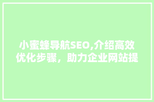 小蜜蜂导航SEO,介绍高效优化步骤，助力企业网站提升排名