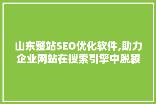 山东整站SEO优化软件,助力企业网站在搜索引擎中脱颖而出