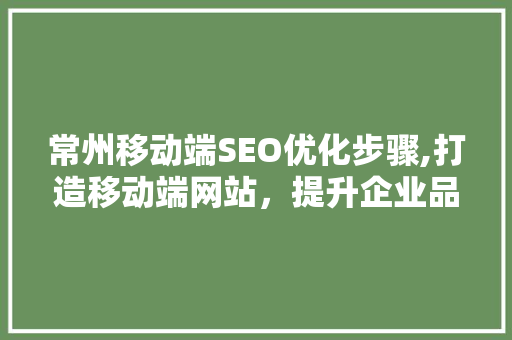 常州移动端SEO优化步骤,打造移动端网站，提升企业品牌影响力