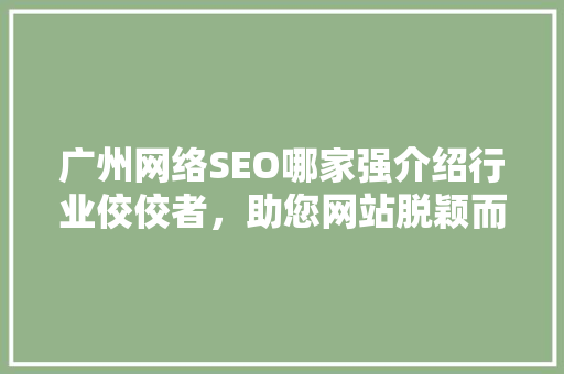 广州网络SEO哪家强介绍行业佼佼者，助您网站脱颖而出