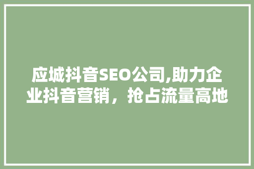 应城抖音SEO公司,助力企业抖音营销，抢占流量高地