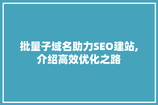 批量子域名助力SEO建站,介绍高效优化之路