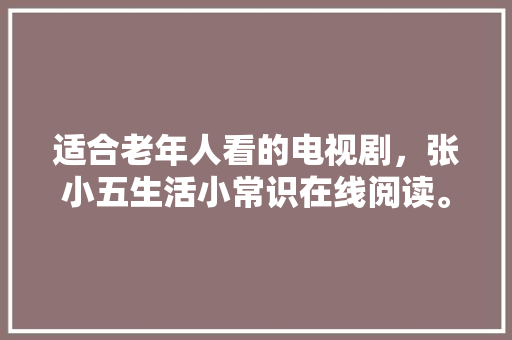 05代码探寻编程语言的奥秘与魅力