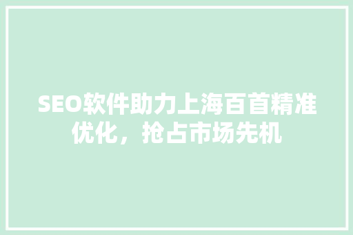 SEO软件助力上海百首精准优化，抢占市场先机