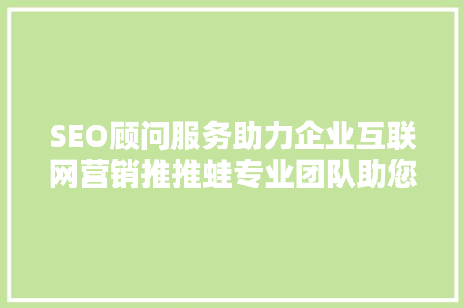 SEO顾问服务助力企业互联网营销推推蛙专业团队助您乘风破浪