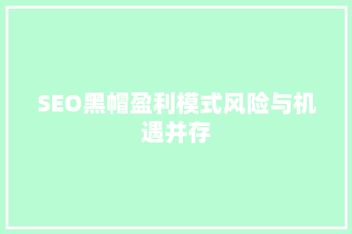 SEO黑帽盈利模式风险与机遇并存