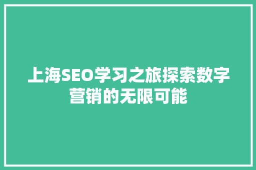 上海SEO学习之旅探索数字营销的无限可能