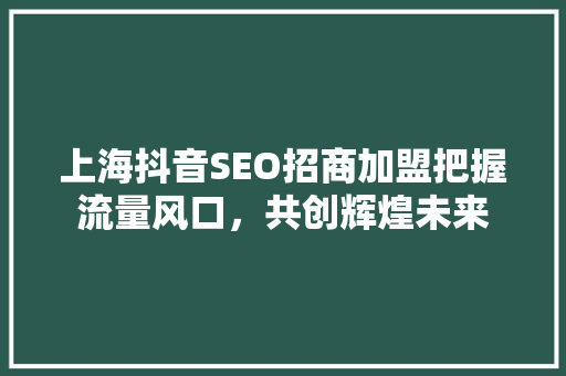 上海抖音SEO招商加盟把握流量风口，共创辉煌未来