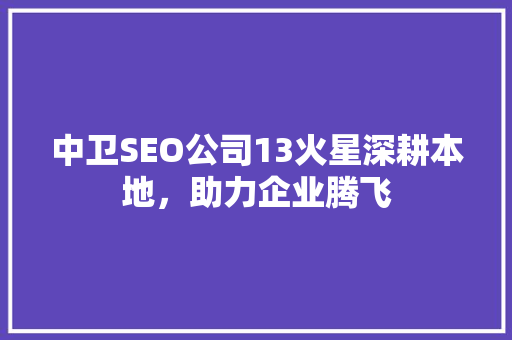 中卫SEO公司13火星深耕本地，助力企业腾飞