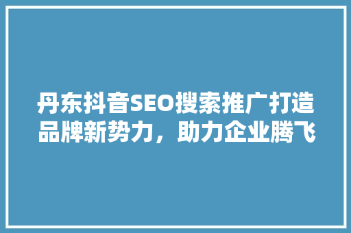丹东抖音SEO搜索推广打造品牌新势力，助力企业腾飞