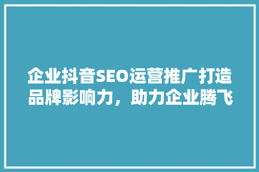 企业抖音SEO运营推广打造品牌影响力，助力企业腾飞