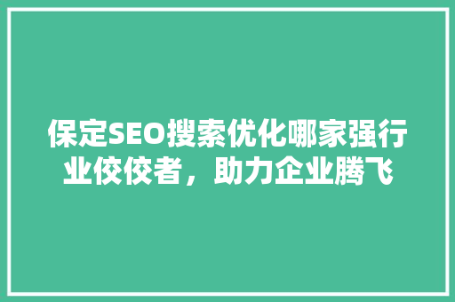 保定SEO搜索优化哪家强行业佼佼者，助力企业腾飞