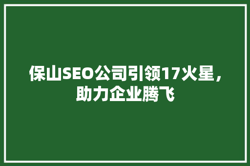 保山SEO公司引领17火星，助力企业腾飞