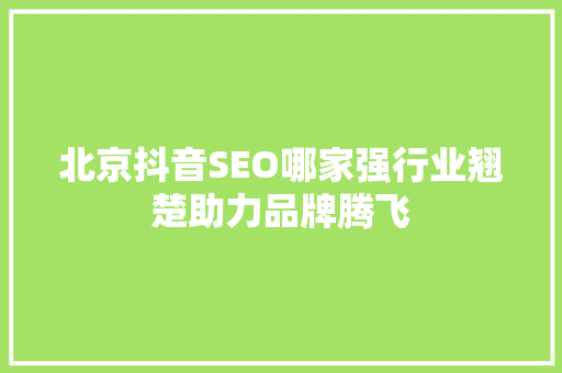 北京抖音SEO哪家强行业翘楚助力品牌腾飞