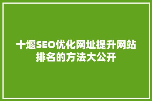 十堰SEO优化网址提升网站排名的方法大公开