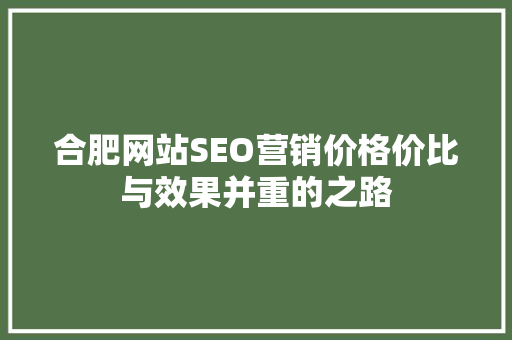 合肥网站SEO营销价格价比与效果并重的之路