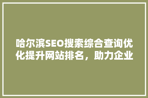 哈尔滨SEO搜索综合查询优化提升网站排名，助力企业腾飞