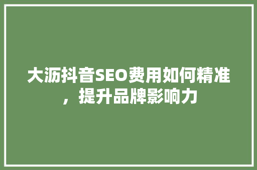 大沥抖音SEO费用如何精准，提升品牌影响力  第1张