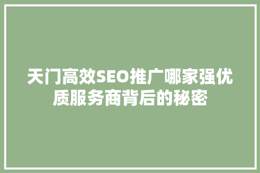 天门高效SEO推广哪家强优质服务商背后的秘密