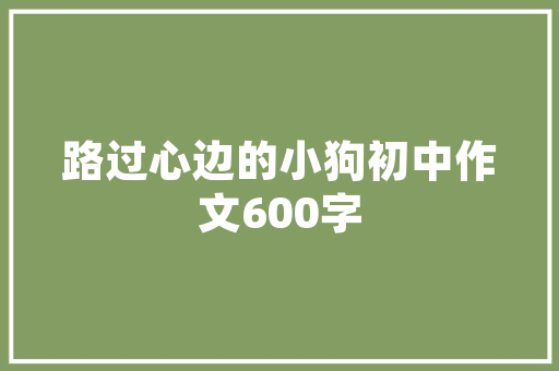 作家源代码文学创作的奥秘