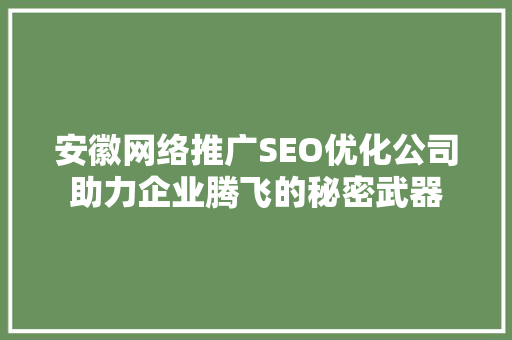 安徽网络推广SEO优化公司助力企业腾飞的秘密武器