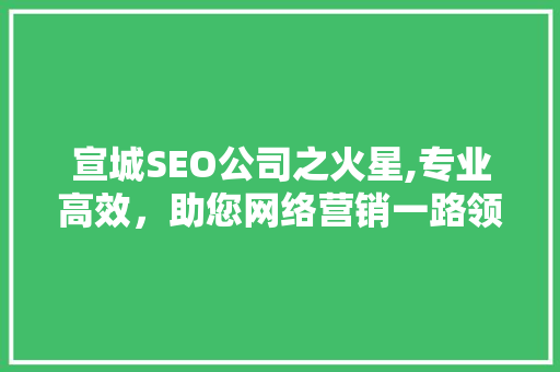 宣城SEO公司之火星,专业高效，助您网络营销一路领先