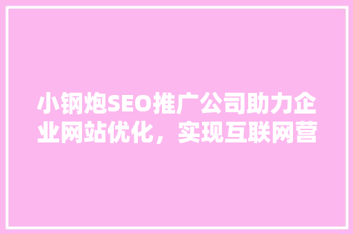 小钢炮SEO推广公司助力企业网站优化，实现互联网营销新突破