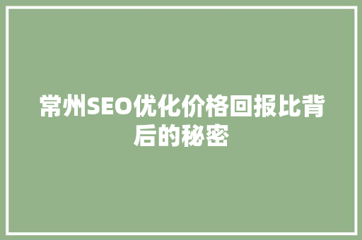 常州SEO优化价格回报比背后的秘密