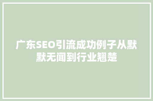 广东SEO引流成功例子从默默无闻到行业翘楚