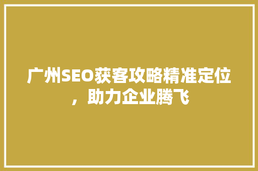 广州SEO获客攻略精准定位，助力企业腾飞