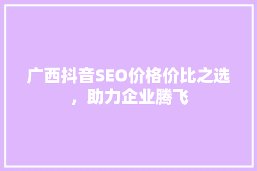 广西抖音SEO价格价比之选，助力企业腾飞
