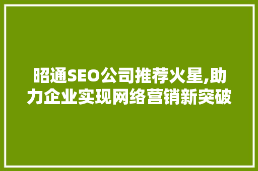昭通SEO公司推荐火星,助力企业实现网络营销新突破