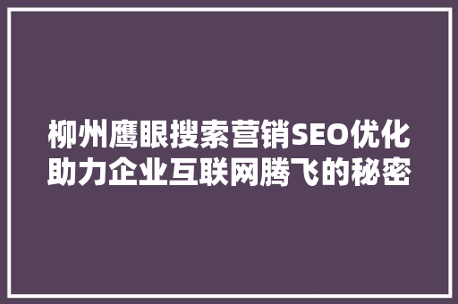 柳州鹰眼搜索营销SEO优化助力企业互联网腾飞的秘密武器