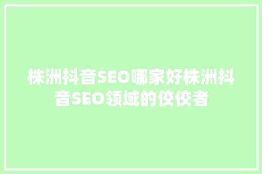 株洲抖音SEO哪家好株洲抖音SEO领域的佼佼者